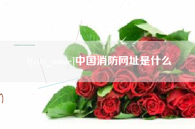 酒泉中国消防网址是什么