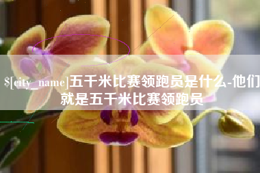 酒泉五千米比赛领跑员是什么-他们就是五千米比赛领跑员