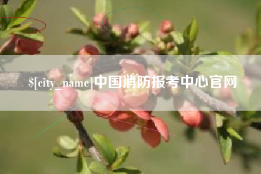 酒泉中国消防报考中心官网
