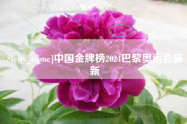 酒泉中国金牌榜2024巴黎奥运会最新