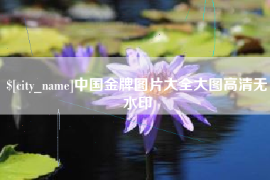 酒泉中国金牌图片大全大图高清无水印