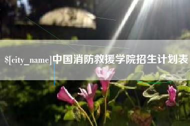 酒泉中国消防救援学院招生计划表