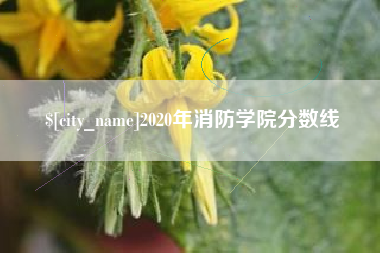 酒泉2020年消防学院分数线