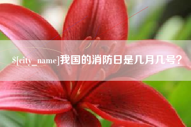 酒泉我国的消防日是几月几号？