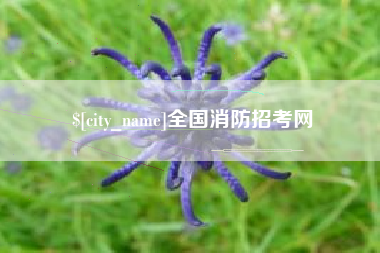 酒泉全国消防招考网