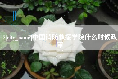 酒泉中国消防救援学院什么时候政审