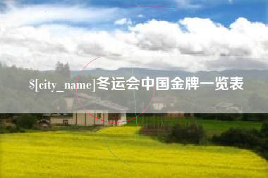酒泉冬运会中国金牌一览表