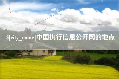 酒泉中国执行信息公开网的地点