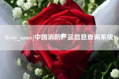 酒泉中国消防产品信息查询系统1