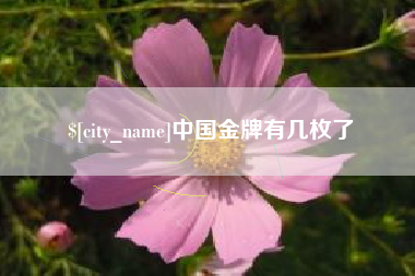 酒泉中国金牌有几枚了