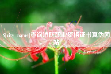 酒泉查询消防职业资格证书真伪网站