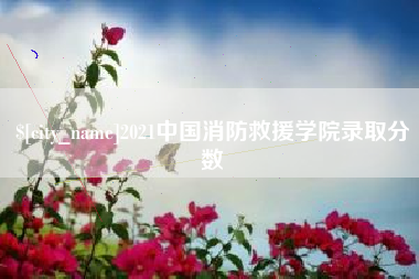 酒泉2021中国消防救援学院录取分数