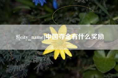 酒泉中国夺金有什么奖励