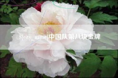 酒泉中国队第八块金牌