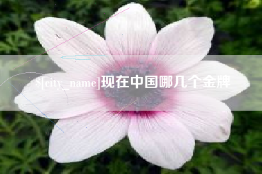 酒泉现在中国哪几个金牌