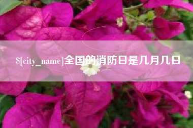 酒泉全国的消防日是几月几日
