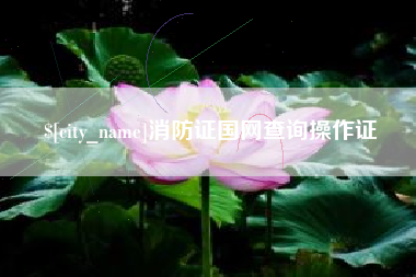 酒泉消防证国网查询操作证