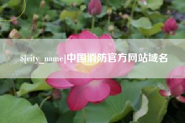 酒泉中国消防官方网站域名