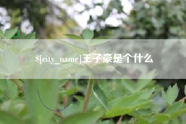 酒泉王子豪是个什么