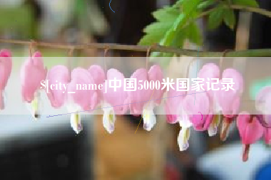 酒泉中国5000米国家记录