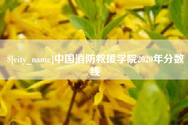 酒泉中国消防救援学院2020年分数线
