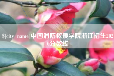 酒泉中国消防救援学院浙江招生2020分数线
