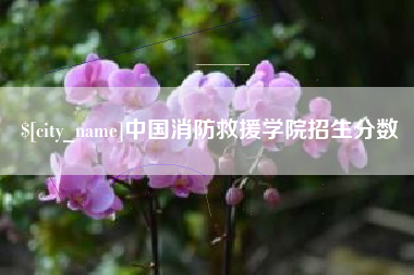 酒泉中国消防救援学院招生分数