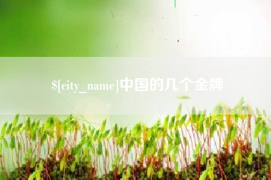 酒泉中国的几个金牌
