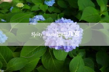 酒泉2022九宫