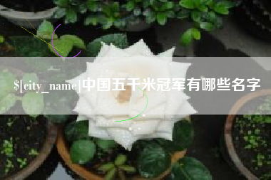 酒泉中国五千米冠军有哪些名字