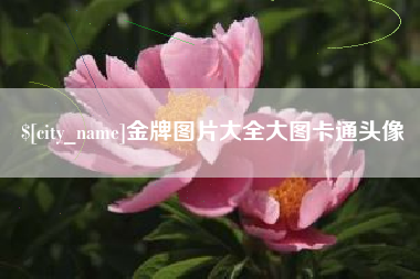 酒泉金牌图片大全大图卡通头像