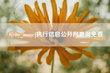 酒泉执行信息公开网查询免费